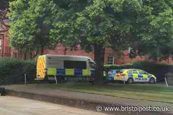 Public schoolboy convicted of dormitory hammer attack is named