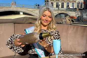 Ilana Schelfhaut (24) uit Boom mag jaar kroontje van Miss Fashion dragen: “Ik wil iets veranderen aan vooroordelen”