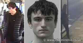 Jealous teenage killer Logan MacPhail given 17 year minimum term for murdering Holly Newton in brutal attack