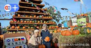 Herbstferien im Kreis Segeberg: Ausflugsziele für die ganze Familie