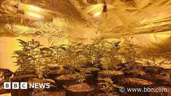 Man charged over cannabis factory discovery