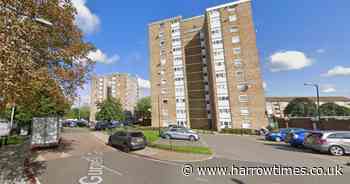 Dog killed and man 'stabbed multiple times' in west London knife attack