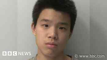 Pupil who attacked students and teacher with hammer is named