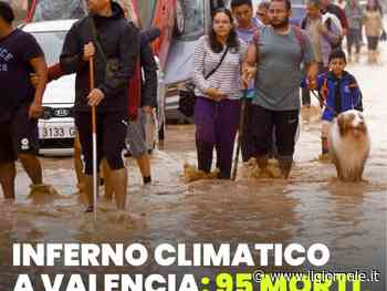 Ultima Generazione specula sulla tragedia: "Valencia come l'Emilia Romagna"