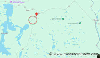 OPP searching woods near White Lake after residents hear call for help 