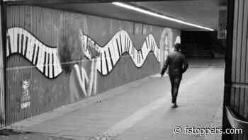 Canon's RF 50mm f/1.4 L VCM Lens: Sharpness, Focus, and Build Quality