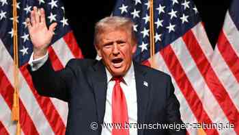 „Trump sieht die Ampel-Regierung als einen Hauptgegner in Europa“