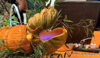 'Boo Deng' steals the show at NASA JPL's annual pumpkin carving contest (photos)