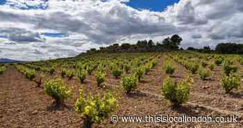 How can you tell if a bottle of wine is value for money?