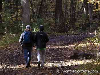 Montreal weather: Chilly, unless your name is Billy, then it's just cool