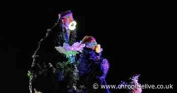 'Glowing disco on wheels' coming to Northumberland town as Lantern Parade returns for fourth year