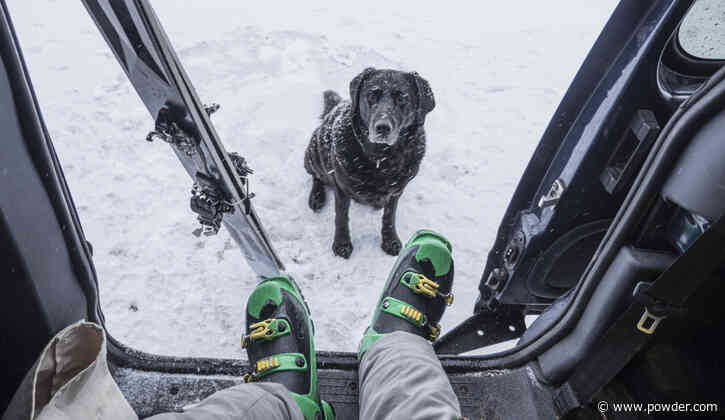 The 7 Best Dog-Friendly Ski Resorts in North America