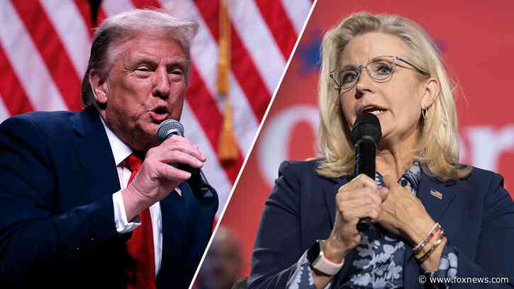 Even liberals, Trump critics blast media's coverage of his Liz Cheney comments: 'A bald-faced lie'