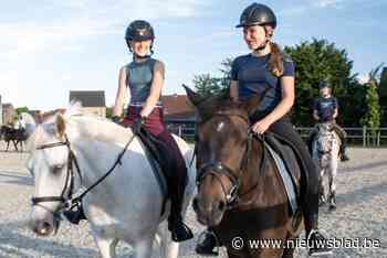 Fotogroep 71 toont zich van meest beeldige kant tijdens 51ste Foto- en Digisalon