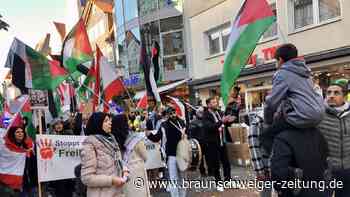 So lief die „allererste Palästina-Demo“ in Peine