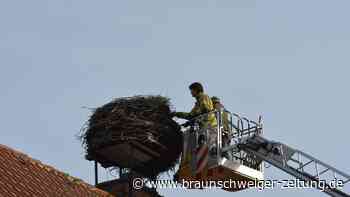 Grafhorster Storchennest ist nun rund 600 Kilogramm leichter