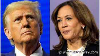 What to watch over the final weekend of the 2024 presidential campaign