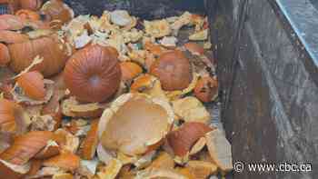 Winnipeggers smash pumpkins to help cut landfill waste