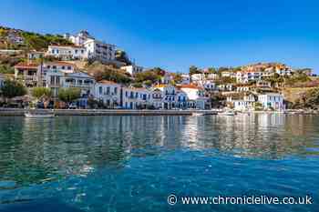 Greek islanders living past 100 say the secret to their long life is daily spoonful of superfood