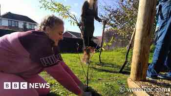 Wildlife shelter's 'amazing effect' on wellbeing