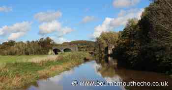 Try this quiet and pretty Dorset riverside walk
