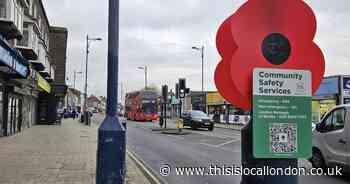 Volunteers decorate Welling town centre with large poppies