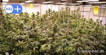 So soll der Cannabis-Verkauf in Hannover funktionieren