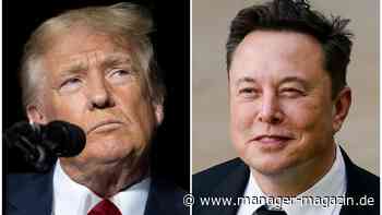 Truth Social, Dogecoin, Gamestop: Donald Trump, Elon Musk und die Meme-Aktien