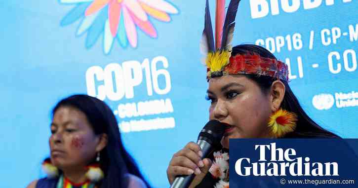 Cop16 ends in disarray and indecision despite biodiversity breakthroughs