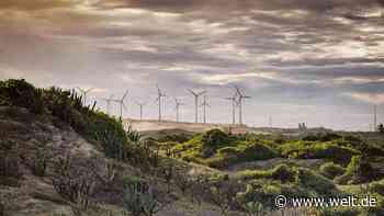 Der Traum von einem neuen Ruhrgebiet in Brasilien