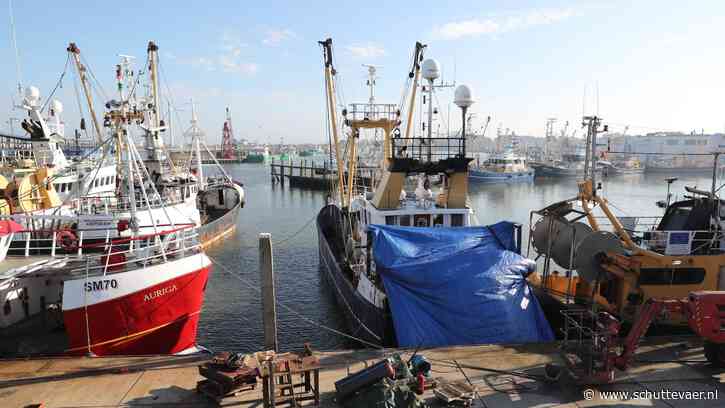 Garnalenkotter WR-123 keert met aanvaringsschade terug naar Den Oever
