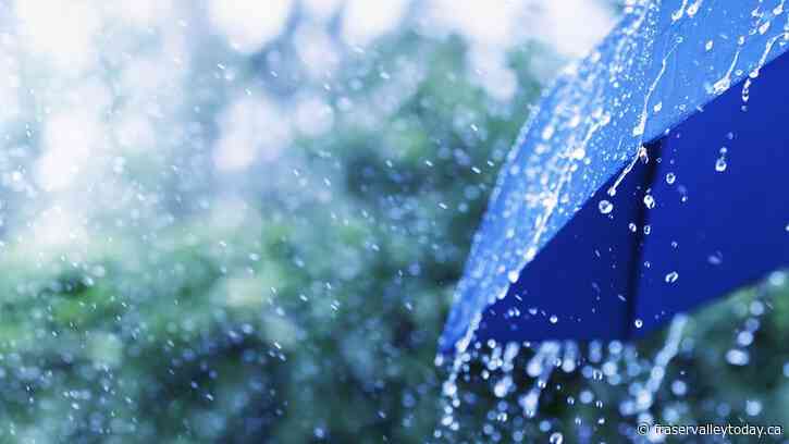 ‘Potent storm system’ bringing strong winds, heavy rain across Fraser Valley overnight