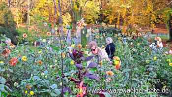 IG Gartenschau in Bad Herrenalb: Blumengarten als Hingucker
