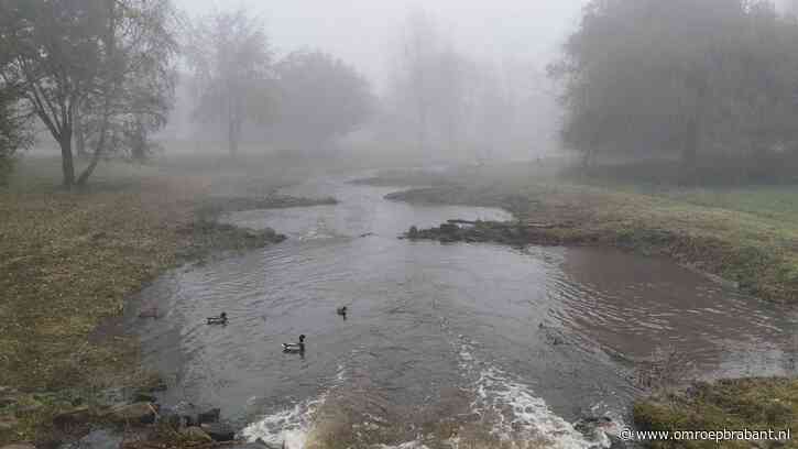 Prachtige beelden van de mist, de weerman vertelt of we dat vaker gaan zien
