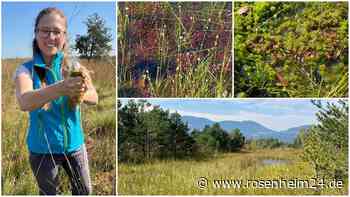 Acht Moore für den Klimaschutz: Geht‘s jetzt auch an Privatbesitz?