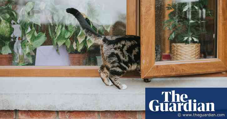 Why do windows in the UK open outwards?