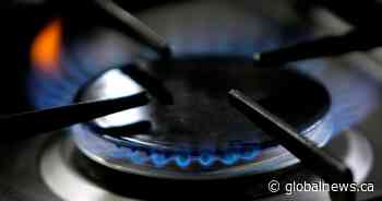 Recipe: Beef Bourguignon