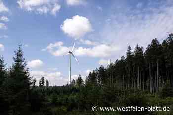 Windkraft: Politik in Herford bemängelt veraltetes Gutachten