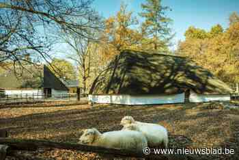 10.000 bezoekers voor Bokrijk tijdens herfstvakantie