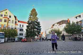 Gut gelandet: Die Riesentanne steht auf dem Alten Markt in Herford