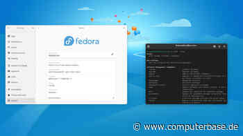 Linux News der Woche: Linux knackt 2 Prozent auf Steam, Fedora & Gaming