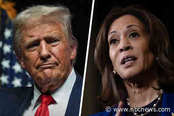 How small shifts in who turns out to vote could make the difference in the election