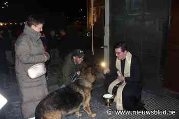 Dierenzegening voor de kerk in Zonhoven: “Wie weet brengt het onze hond en kat wat dichter bij elkaar”