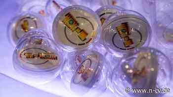 DFB-Pokal-Achtelfinale ist fix: EM-Sensation verpasst dem FC Bayern das Hammerlos