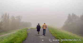 KNMI waarschuwt voor dichte mist in de zuidelijke provincies: code geel tot maandagochtend