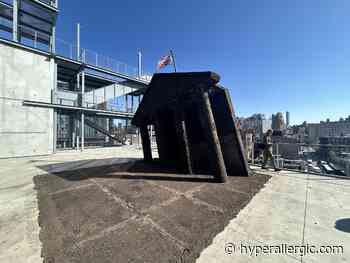 NYC Mayor Announces Possible Expansion Of Whitney Museum