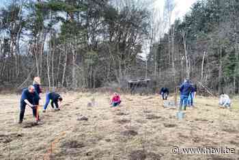 Derde geboortebos in Genk langs Henry Fordlaan