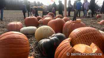 Pumpkins catapulted for good cause at Pumpkin Palooza