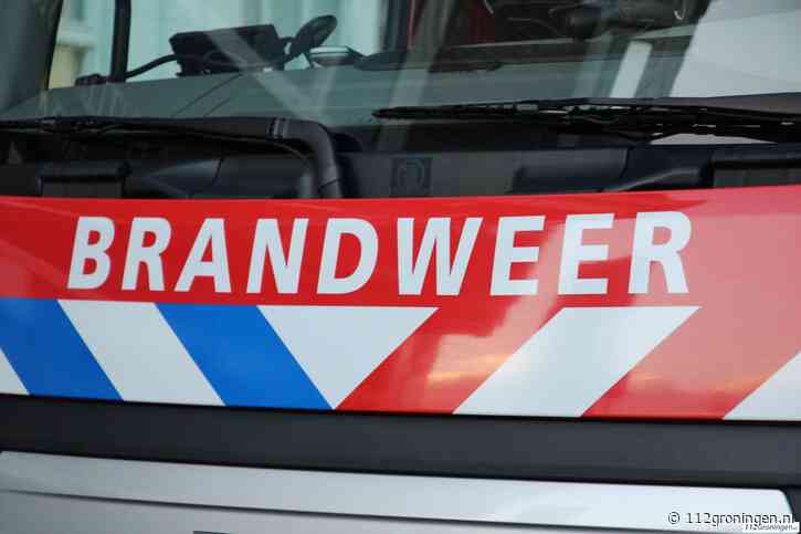 Paard gered uit sloot langs Hoornsedijk bij Paterswoldsemeer (video)