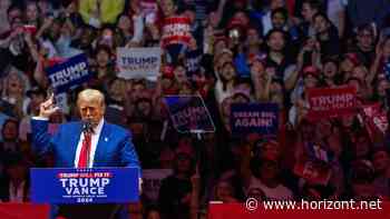 Donald Trump: Der Marken- und Medienprofi: Warum Trumpismus mehr als rüpelhafter Populismus ist